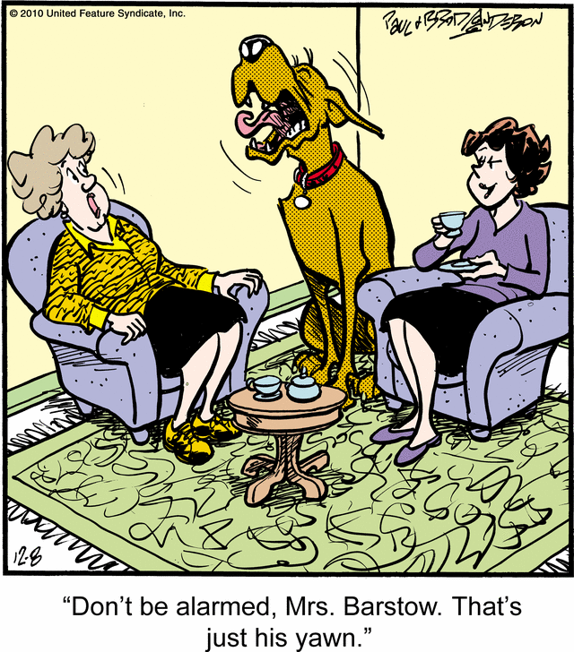 marmaduke